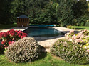 Swimming Pool Devon